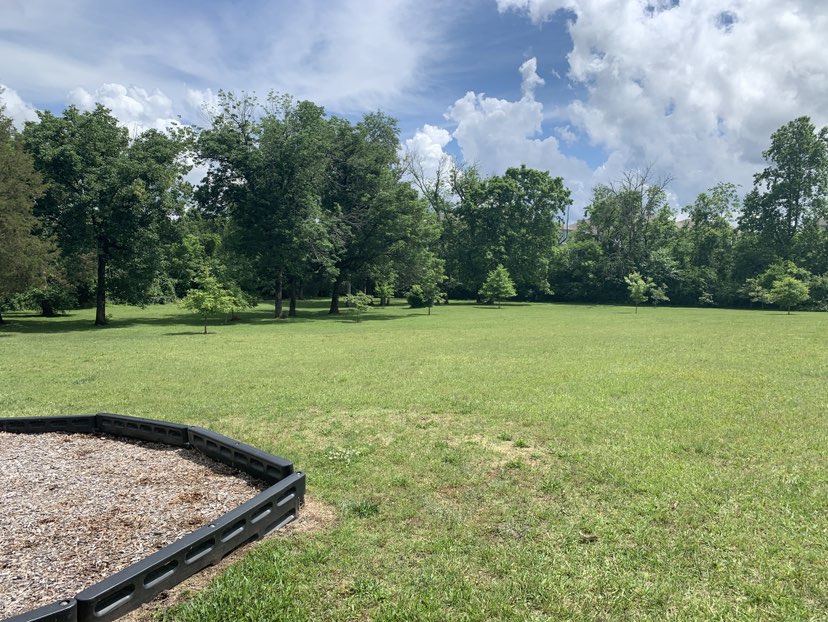 walking near me in Greenway Park in spring