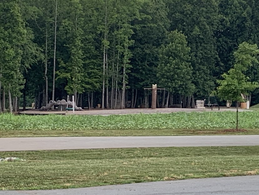 walking near me in Graham Regional Park in summer