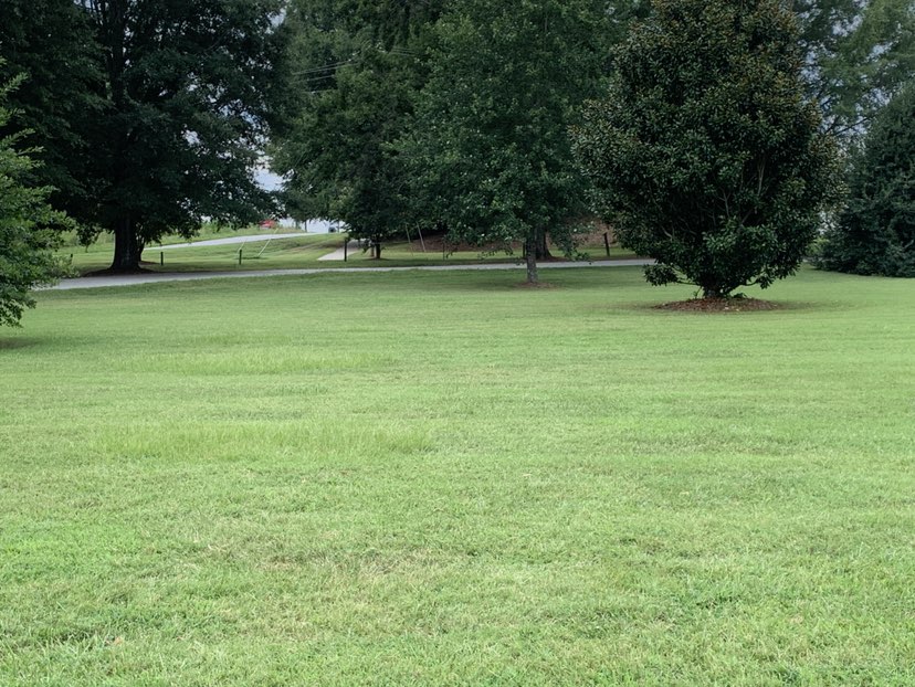 walking near me in Union Cross Park in autumn