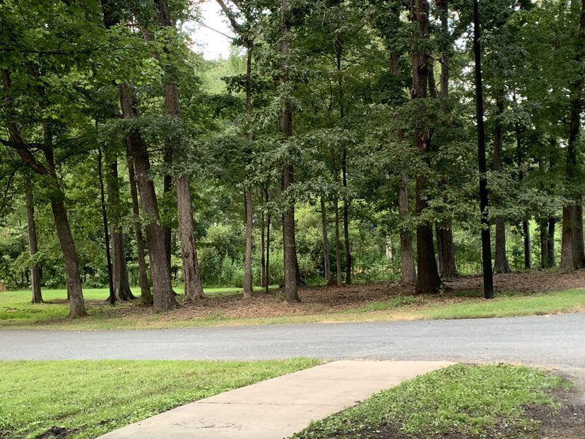 walking near me in Graham Municipal Park in autumn