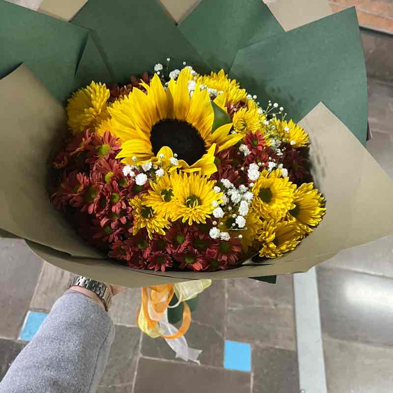 friends Fateme🐬 post image