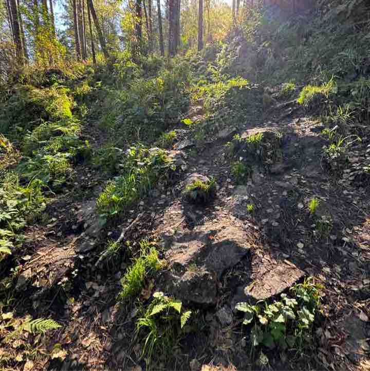 Алексей post 2