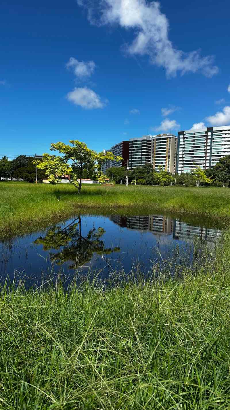 walking near me in Parque da Sementeira in winter