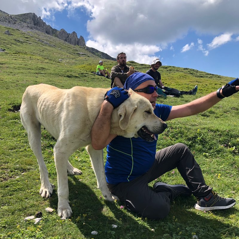 𝓗ⒶⓁⒾⓁ Ⓜ. 🇽🇰 🇺🇸🇦🇱🚶🏼‍♂️🏃🏾‍♂️💙🦋💙 profile