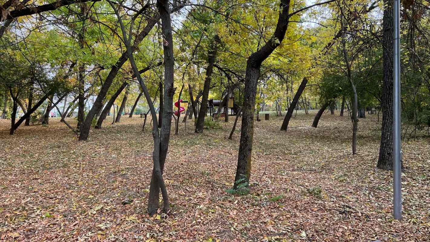 walking near me in Arbëria Park in autumn
