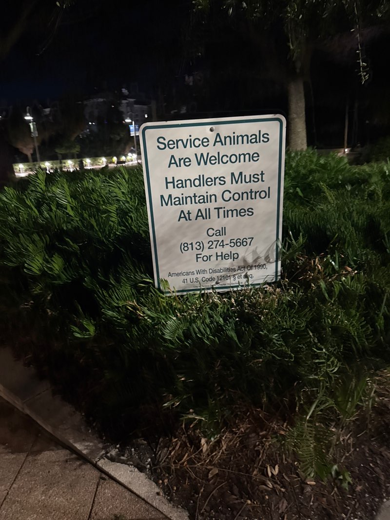 walking near me in Cotanchobee Fort Brooke Park in autumn