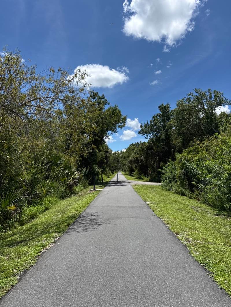 walking near me in Cape Haze Pioneer Trail Park in autumn