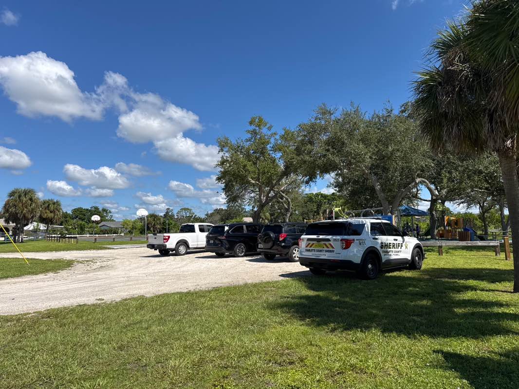 walking near me in Higgs Park in autumn