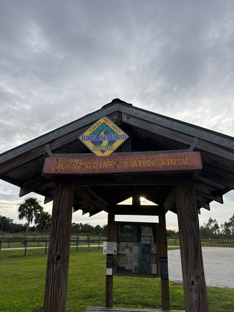 walking near me in Myakka State Forest in autumn