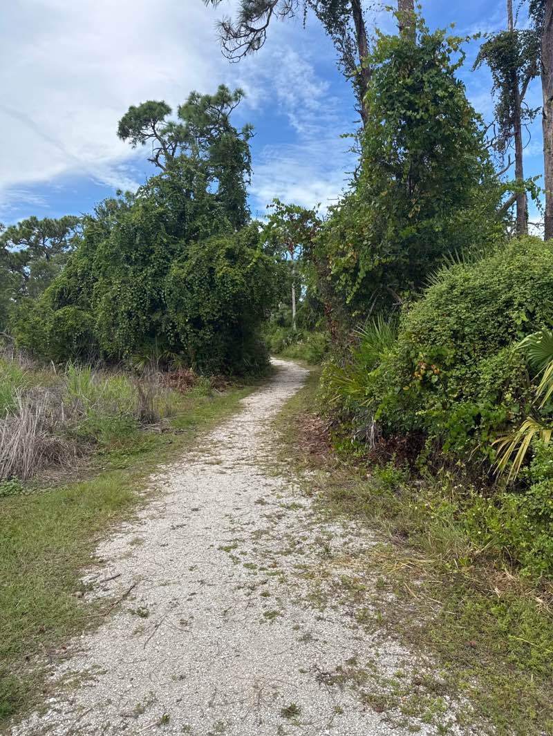 walking near me in Oyster Creek Environmental Park in autumn