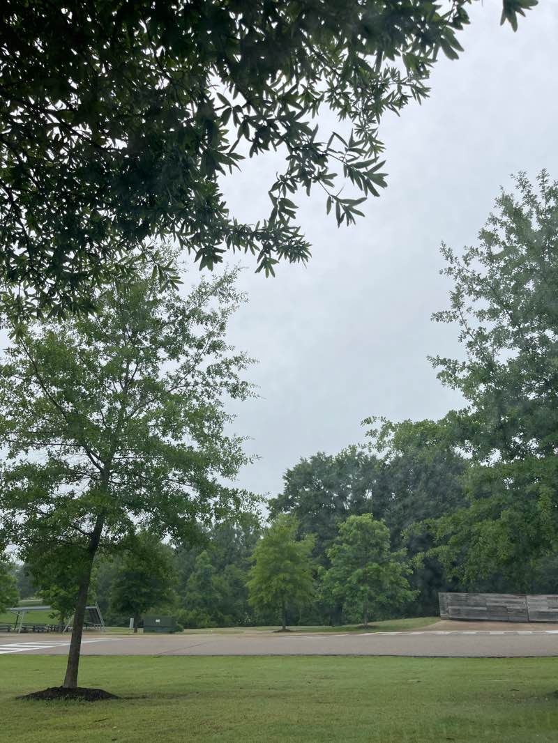 walking near me in Shelby Farms Park in summer