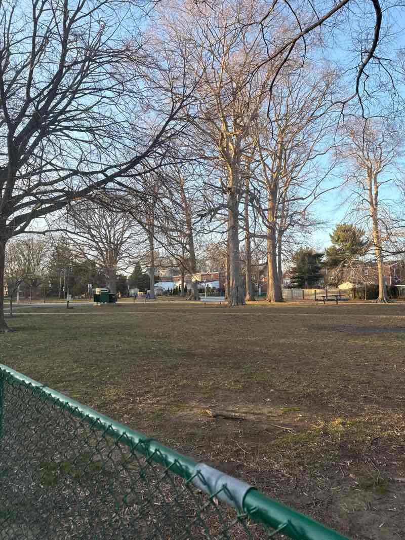 walking near me in Holden Park in spring