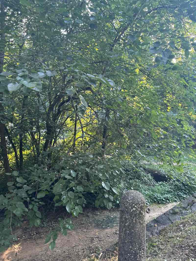 walking near me in Brandywine Park in autumn