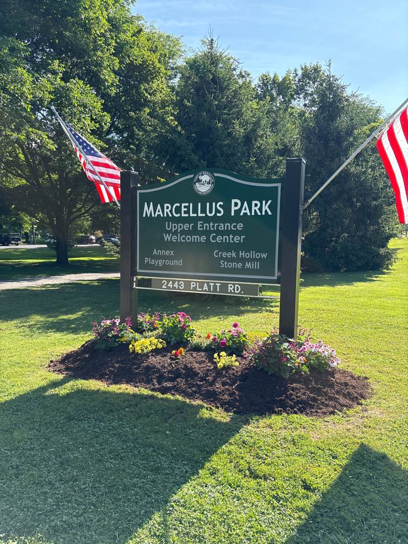 walking near me in Marcellus Park in summer