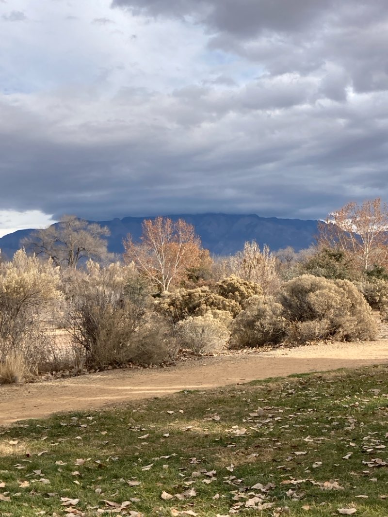 walking near me in Bachechi Open Space in winter