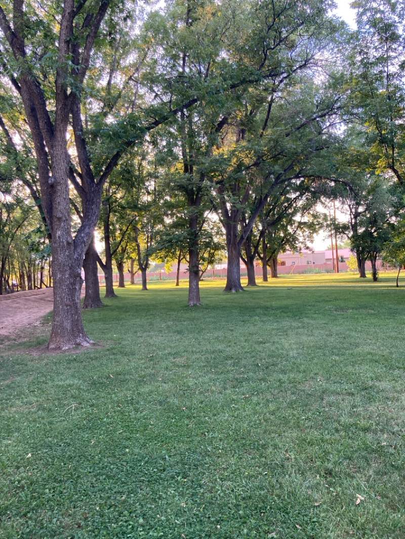 walking near me in Bachechi Open Space in autumn