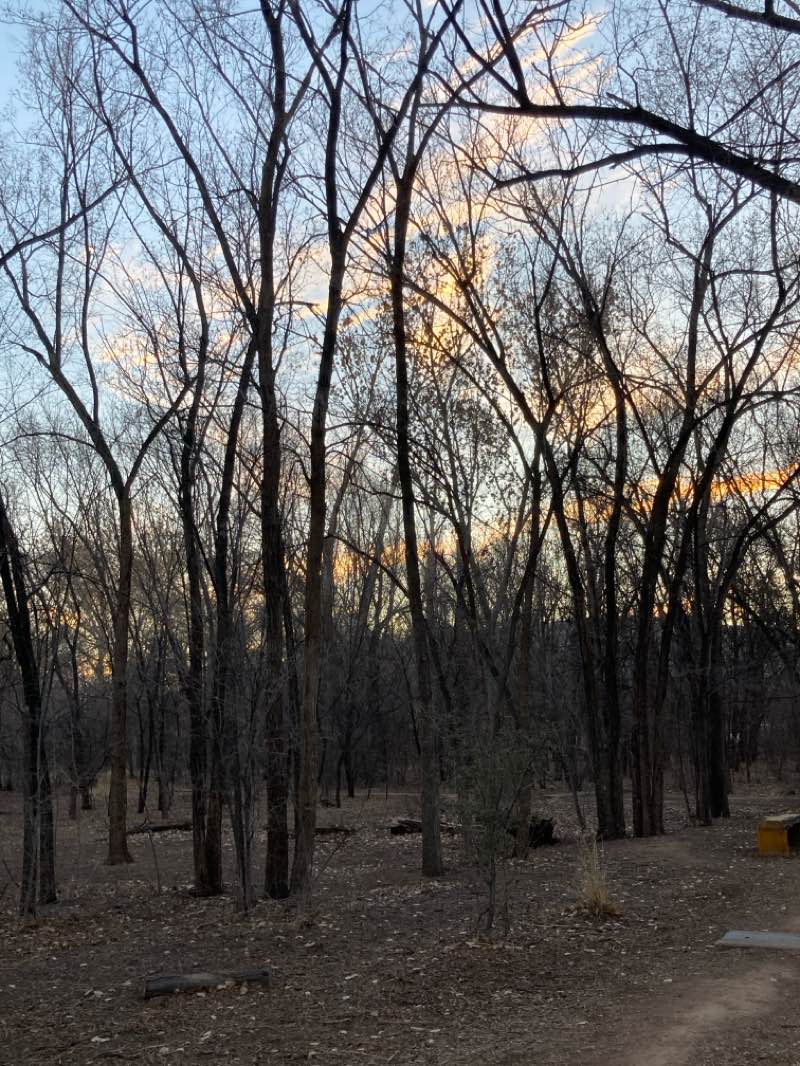 walking near me in Alameda/Rio Grande Open Space in spring