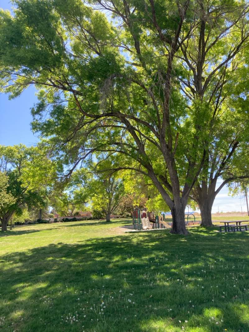 walking near me in New Mexico Veterans Memorial Park in spring