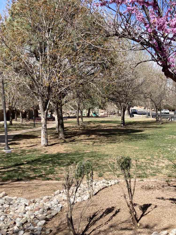walking near me in Martineztown Park in spring