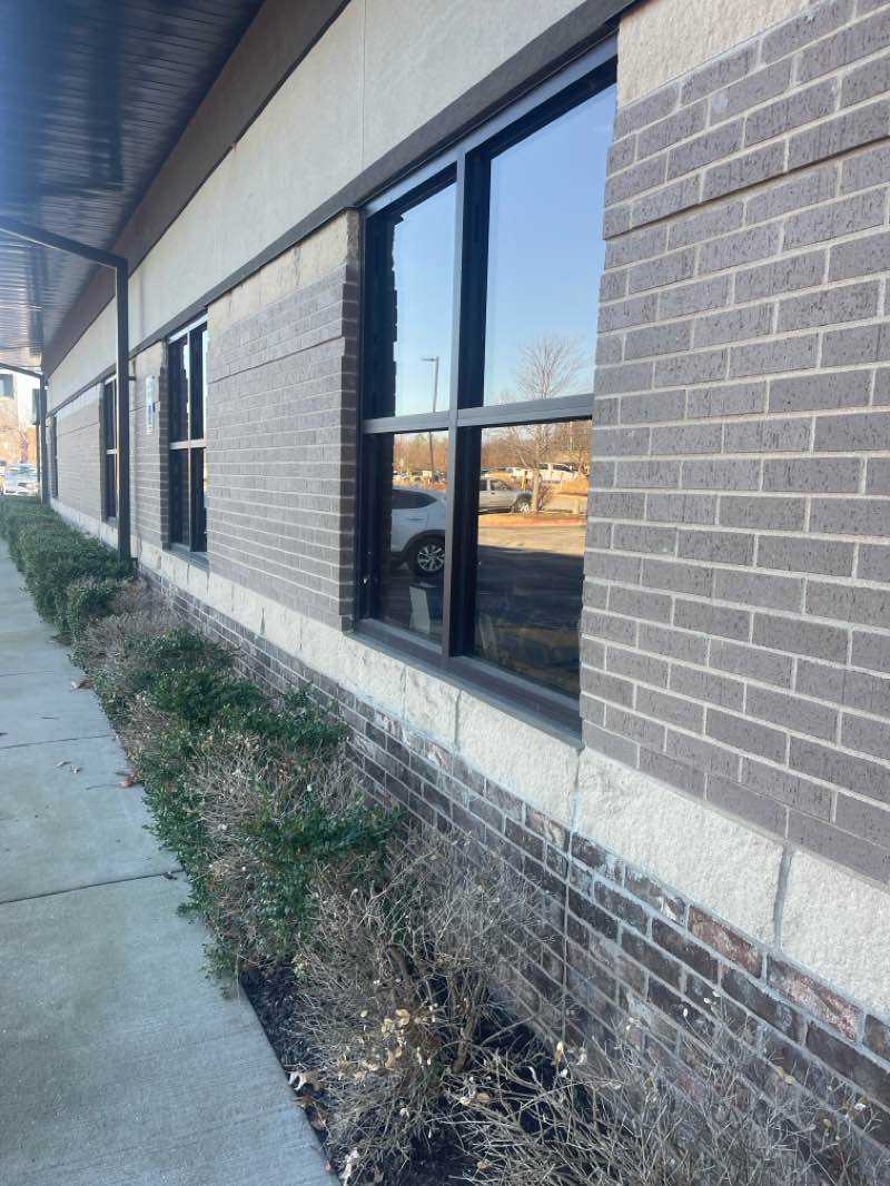 walking near me in Horsebarn Trailhead Park in winter