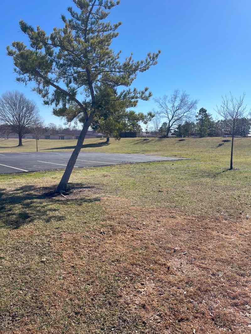 walking near me in Memorial Park in winter