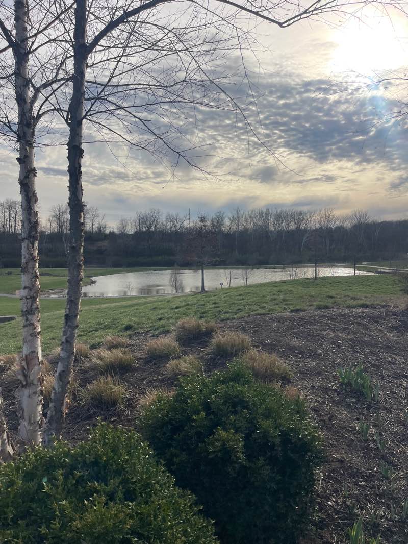 walking near me in Veterans Tribute Park in spring