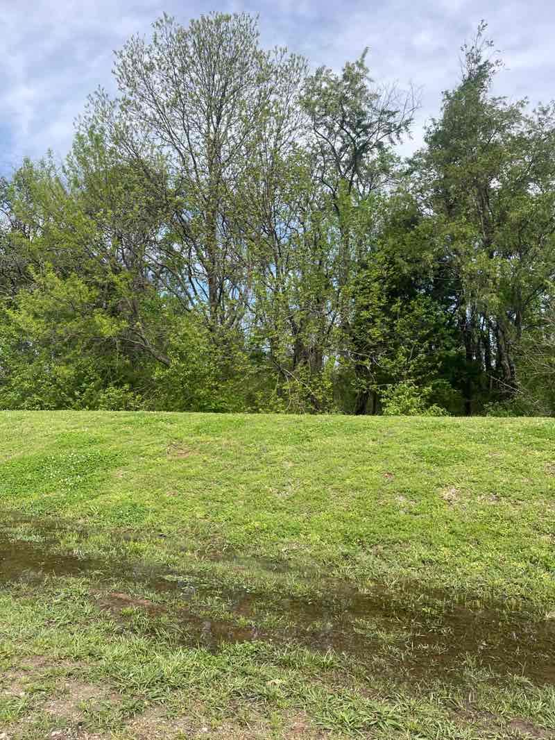 walking near me in Phillips Park in spring