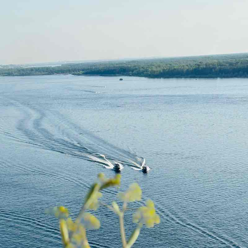 Хомячки вышивают и шагают Татьяна_Самара post image