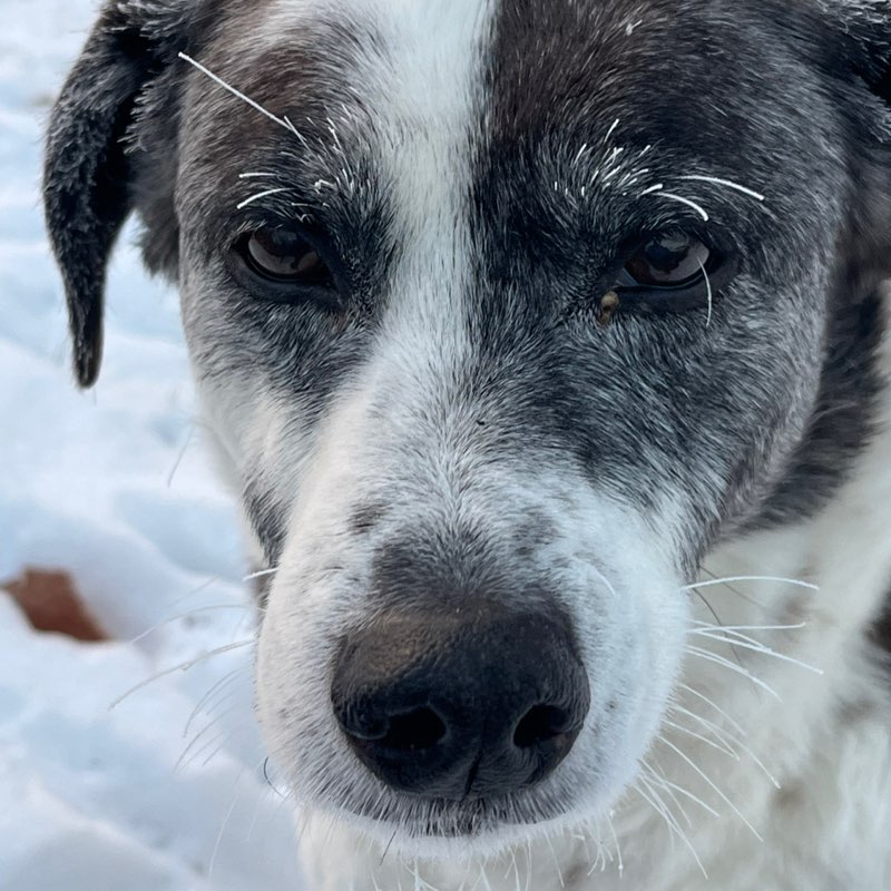 edgar profile