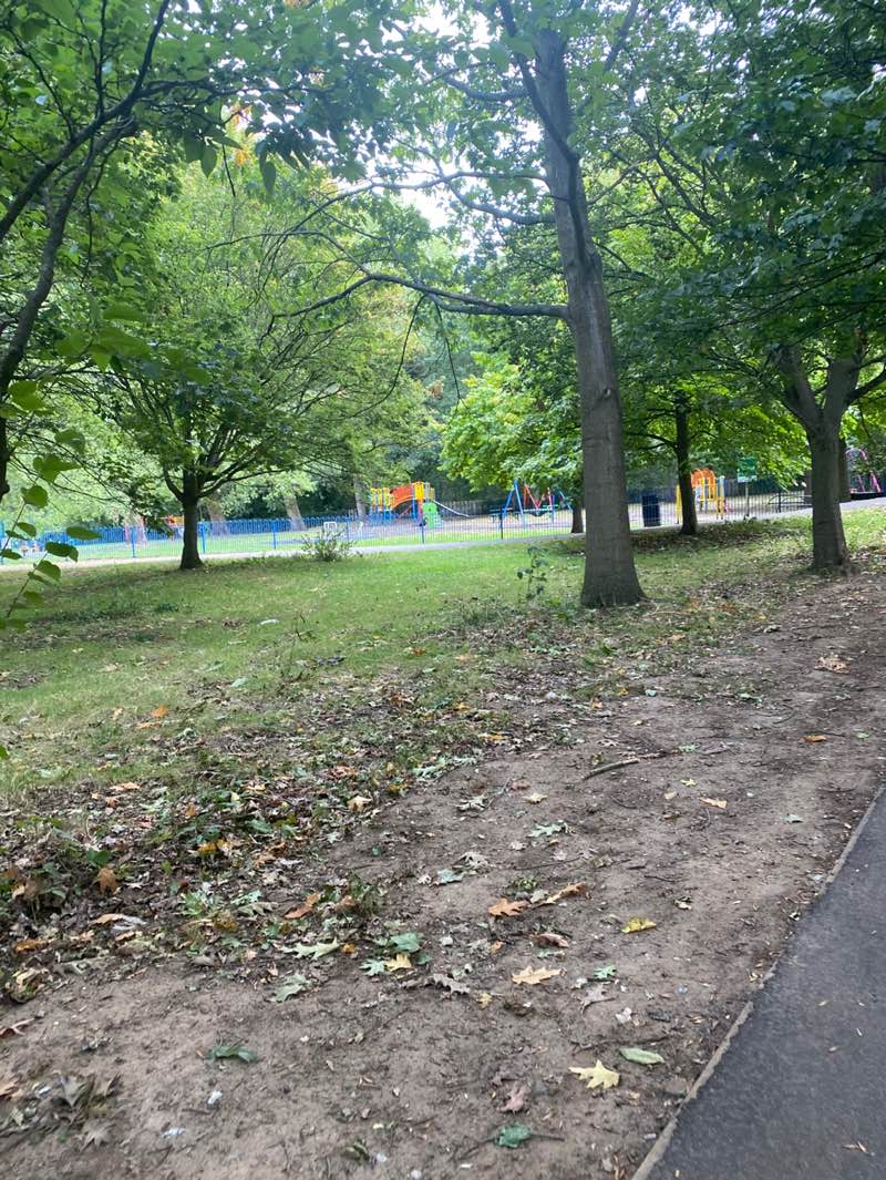 walking near me in Roundshaw Park in autumn