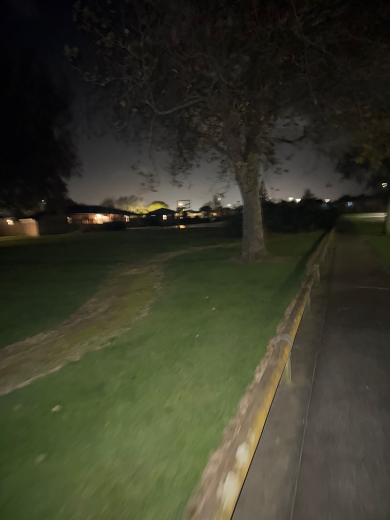 walking near me in Raleigh Street Reserve in autumn