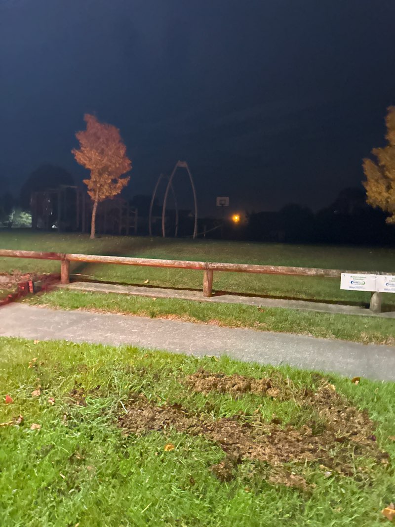 walking near me in David Spring Park in autumn