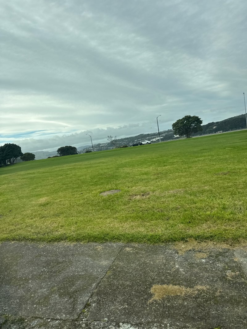 walking near me in Takapuwahia Park in winter