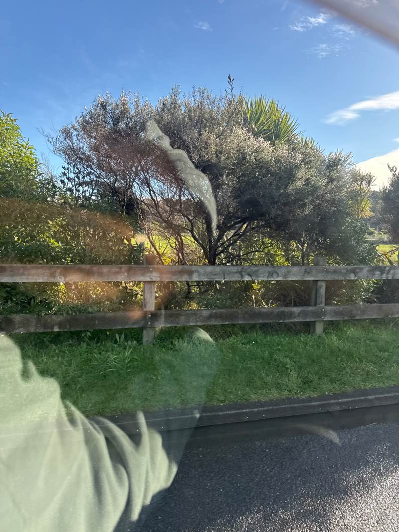 walking near me in Plimmerton Domain in winter