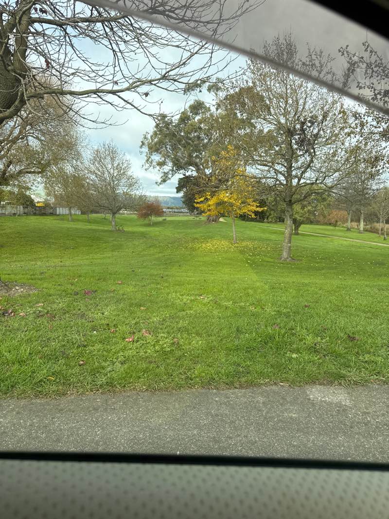 walking near me in Otira Park in winter