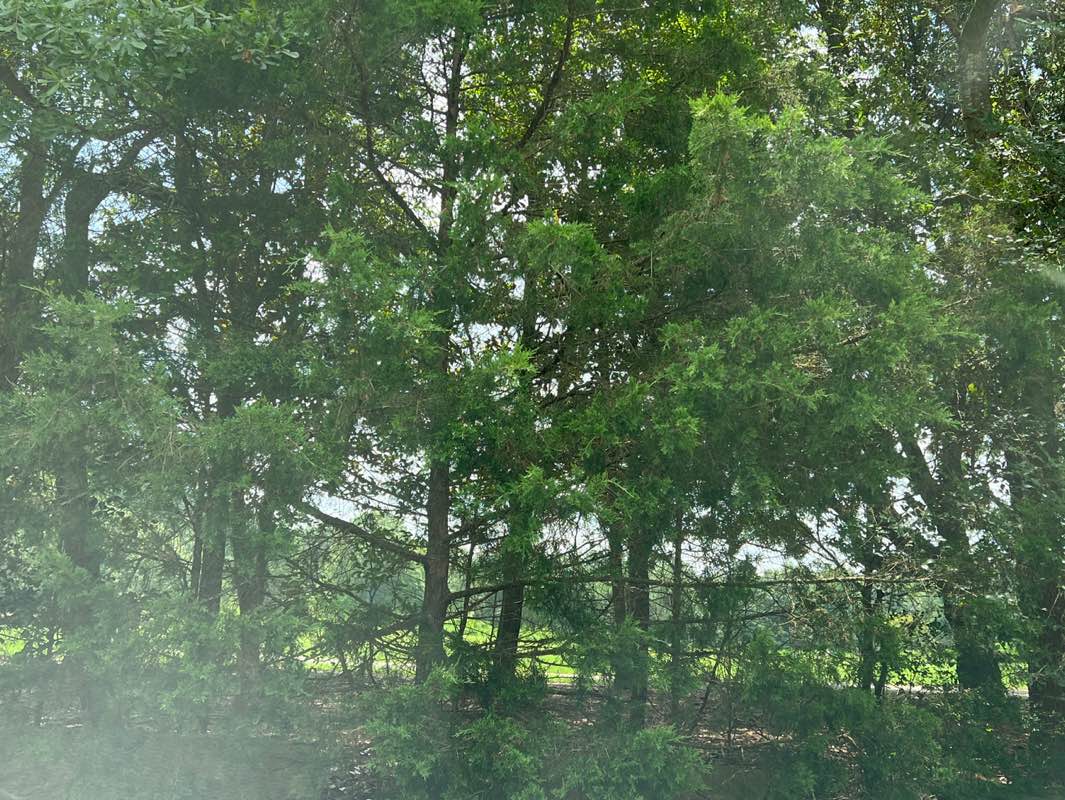 walking near me in Anderson Point Park in summer