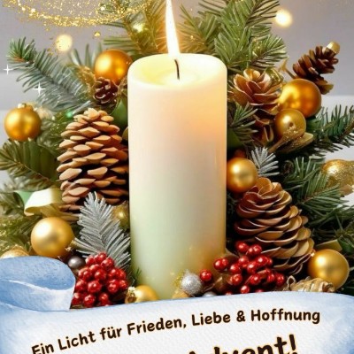 Spaß am Laufen 🦮🏃🏼‍♀️🏃🏼‍♂️ Kai..🩵 💛 🩵 post image