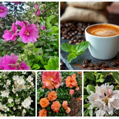 Walking on Sunshine โ๏ธ Kai..๐ฉต ๐ ๐ฉต post image