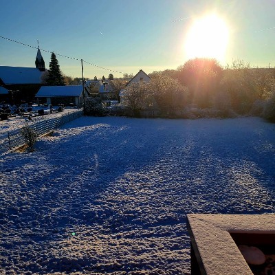 🌼🍀🌺Spaß am Laufen 🐕‍🦺🚶🏼‍♀ Kai..🩵 💛 🩵 post image