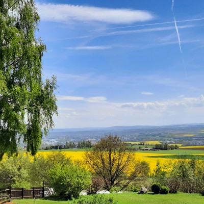 🌼🍀🌺Spaß am Laufen 🐕‍🦺🚶🏼‍♀ Kai..💚 💛 💚 post image