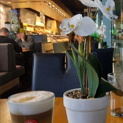 🌺 The Life Catalogue 🌺 Kai..💚 💛 💚 post image