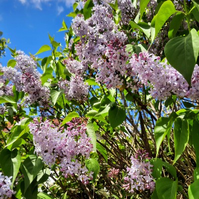 ☕️🎊coffee-lover pacers🎊☕️ Kai..💚 💛 💚 post image