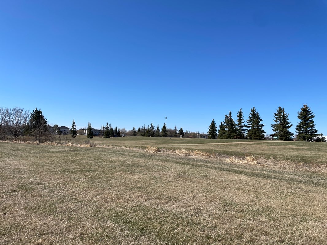walking near me in Goudreau Park in spring