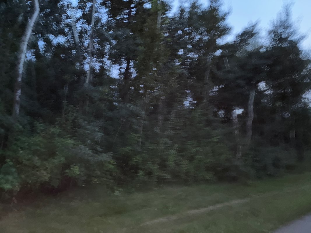 walking near me in Charbonneau Park in summer