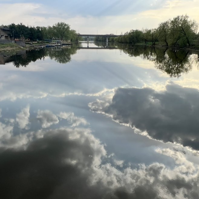 Светлана ♌️🦁 post 1