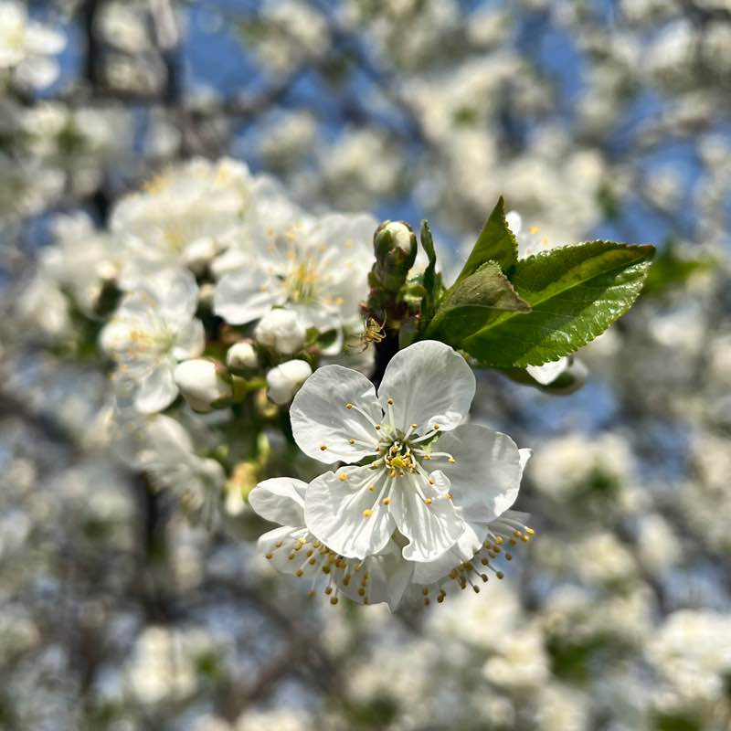 Светлана ♌️🦁 post 2