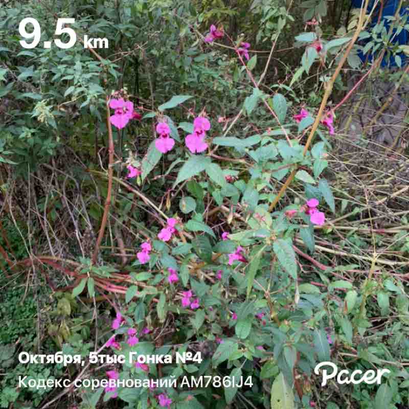 Евгений 🐯 post 1