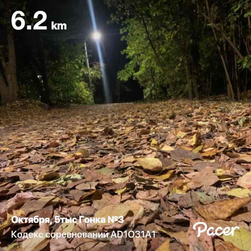 Евгений 🐯 post 1