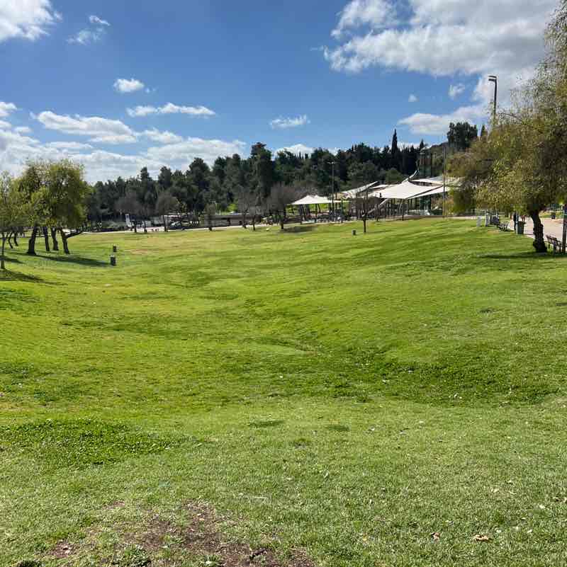 joe  🇮🇱 post 1