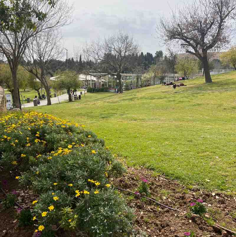 joe  🇮🇱 post 1